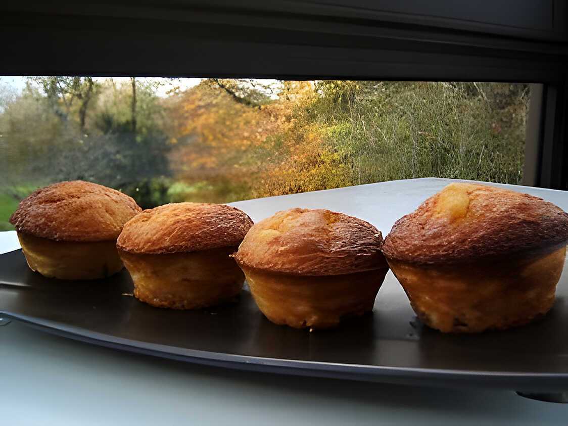 Recette de Muffins chocolat blanc fève tonka