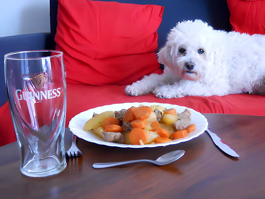 Recette D Irish Stew Typique Rago T Irlandais