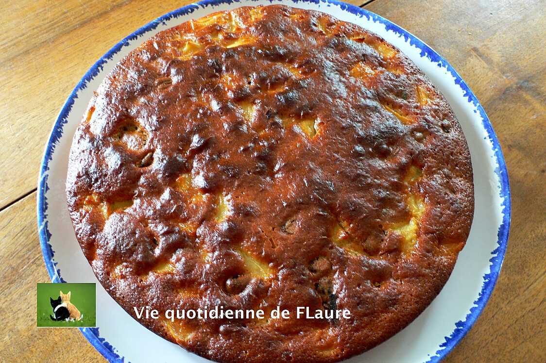 Recette de Gâteau au yaourt pomme Cranberry et noix de Pécan