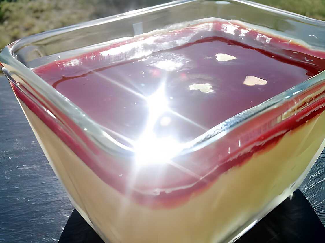 Recette De Panna Cotta La Vanille Et Son Coulis De Framboises