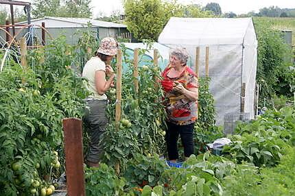 recette Haricots verts, gâteaux, tomates, chantilly, brochettes, lapin... rien n'est trop beau pour hanor...