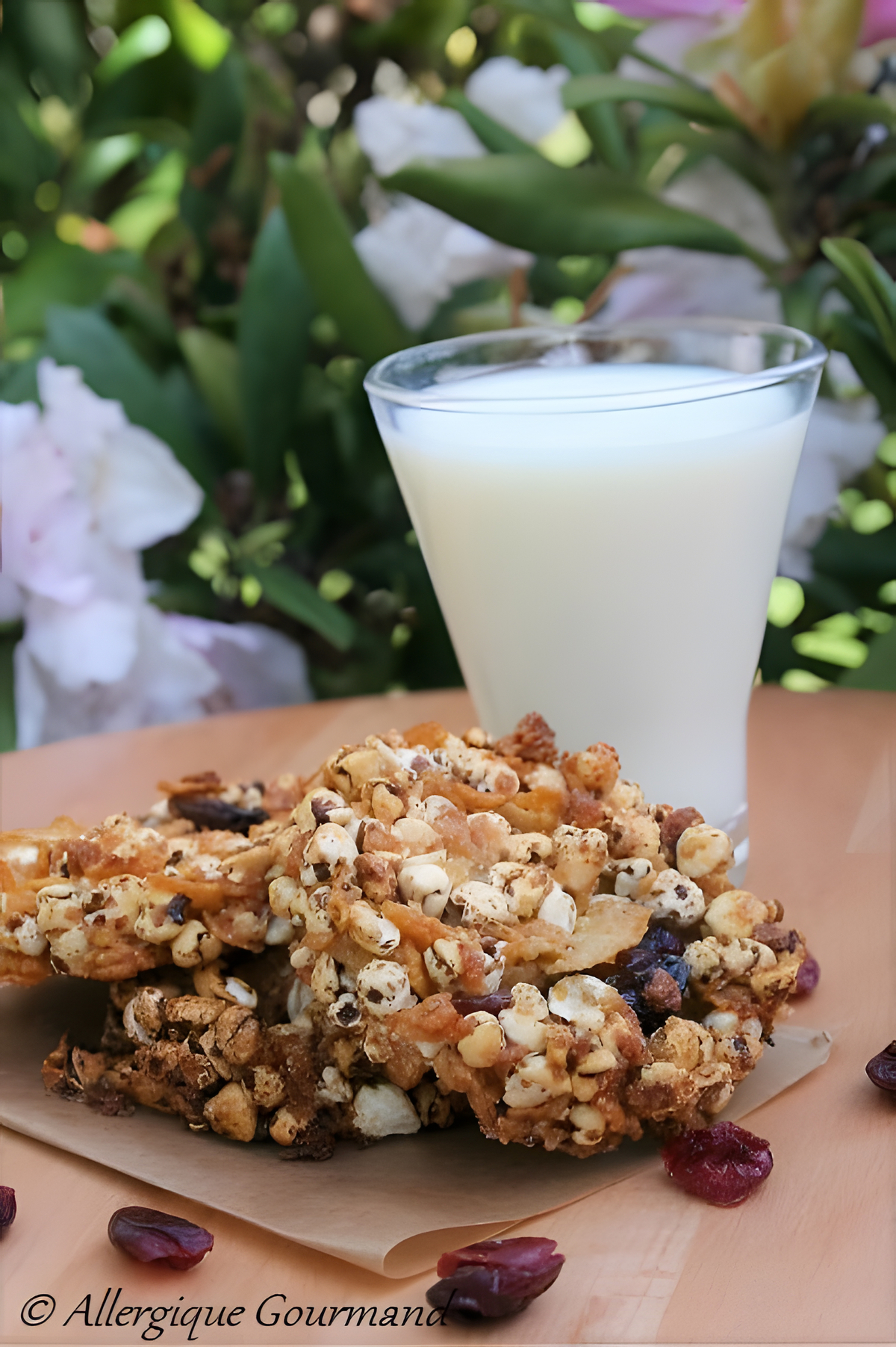 recette Flapjacks Bio, sans gluten, sans lait, sans oeufs