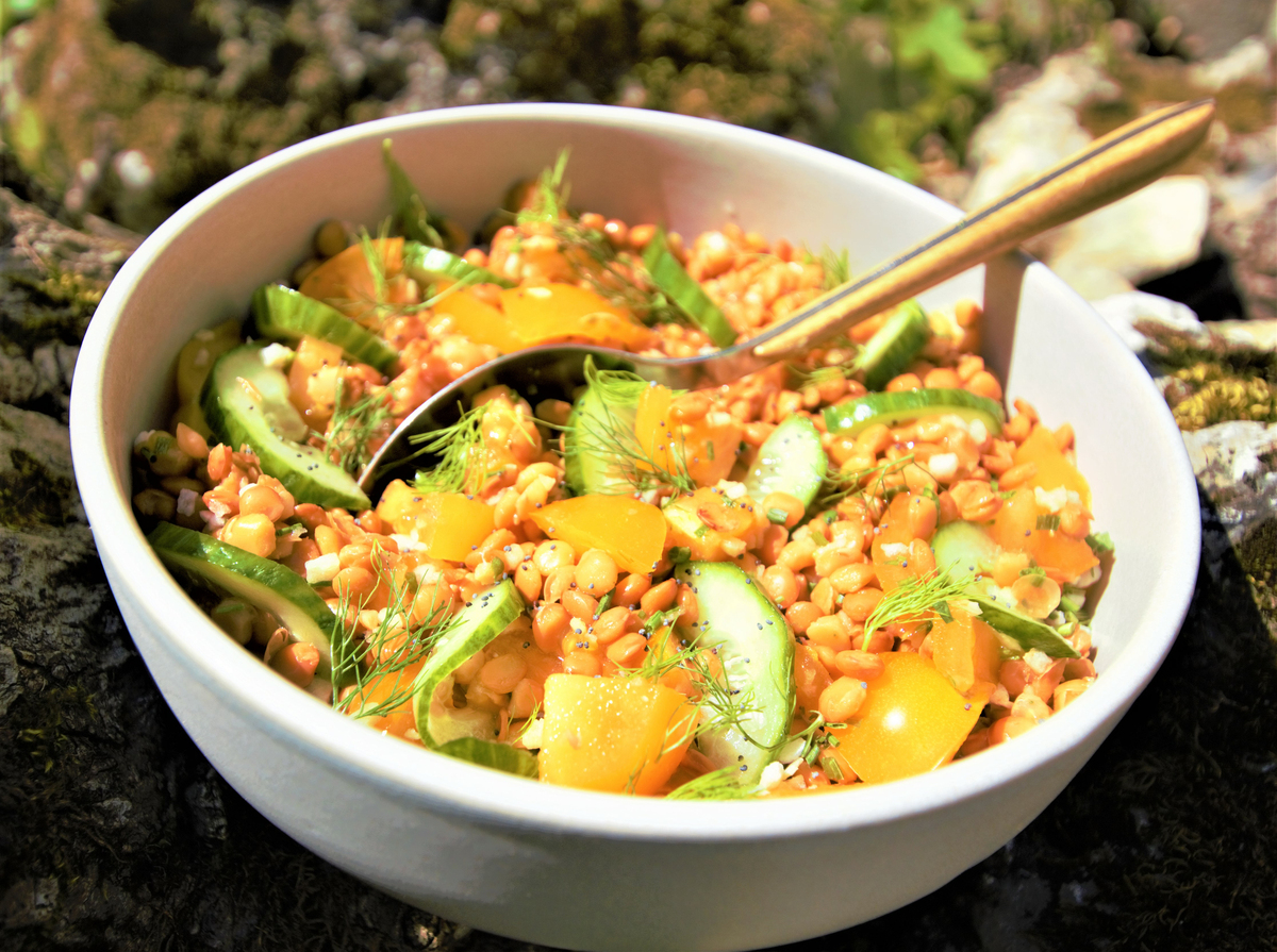 recette SALADE LENTILLES CORAIL