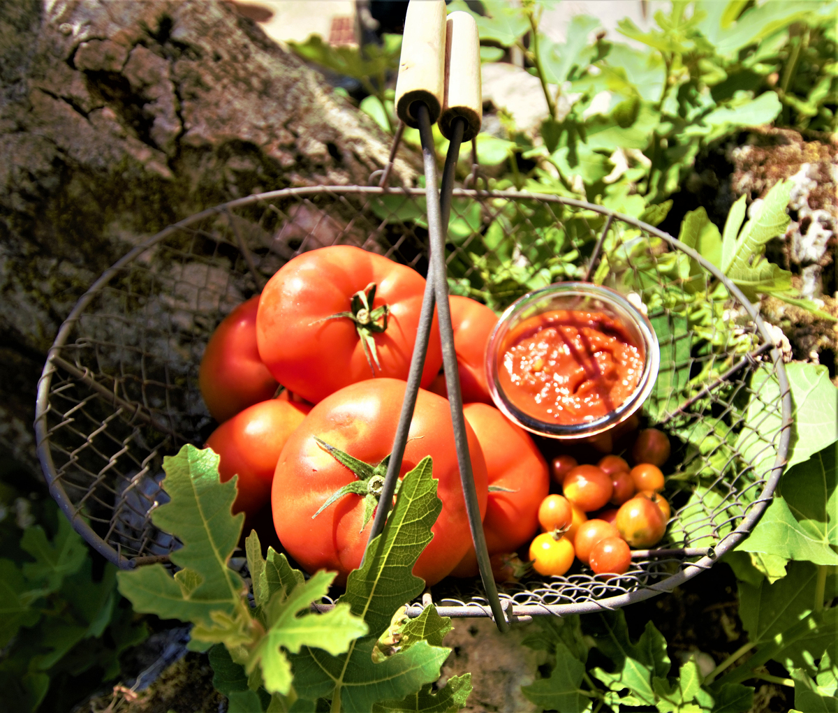 recette COULIS DE TOMATES MAISON