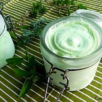 recette Parfait glacé à la chartreuse verte