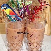 recette Smoothie multi fruits