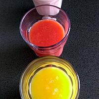 recette Nectar de mangue/orange et ses déclinaisons
