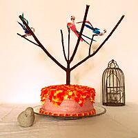 recette Layer cake aux oiseaux fraise citron