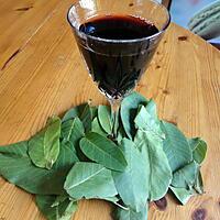 recette aperitif aux feuilles de noix OU (vin aux feuilles de noix )