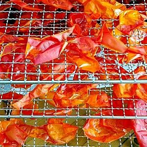 peaux de tomates après déshydratation