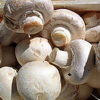 recette champignons rillettes