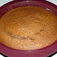 recette Gâteau Moelleux Au Nutella