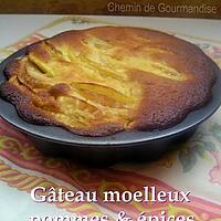 recette Gâteau moelleux aux pommes & épices